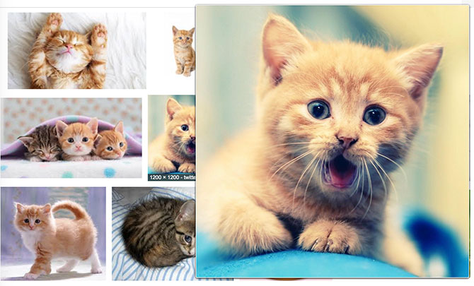 Safari Genişletmeleri: Hoversee