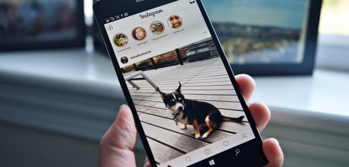 Instagram on Microsoft Phone